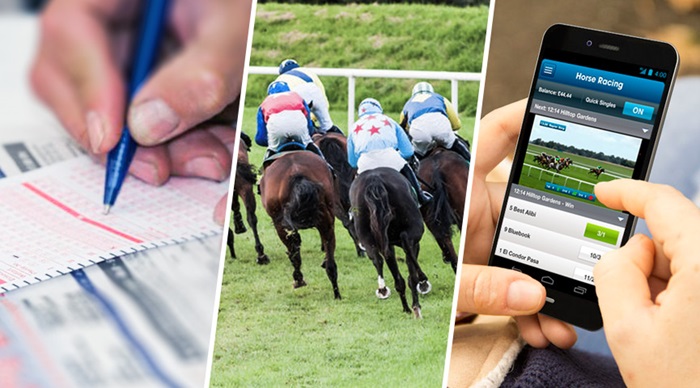 Experience betting on horses to win